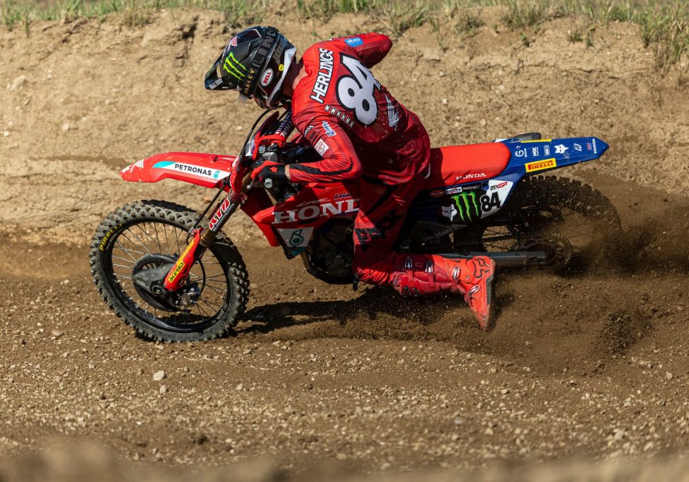 herlings