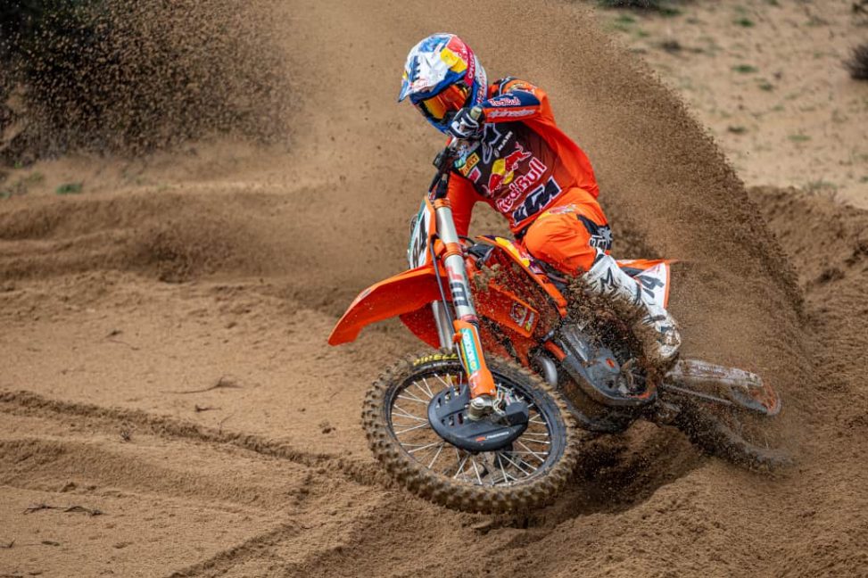 herlings-4