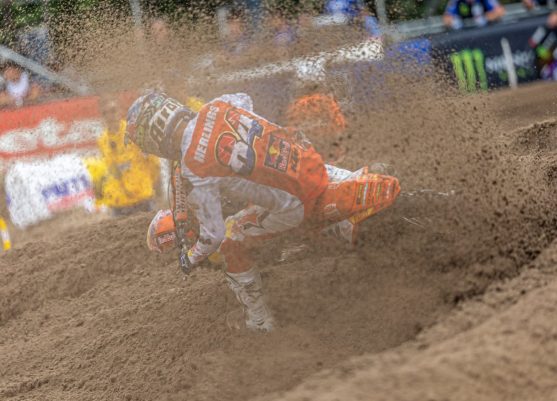 herlings