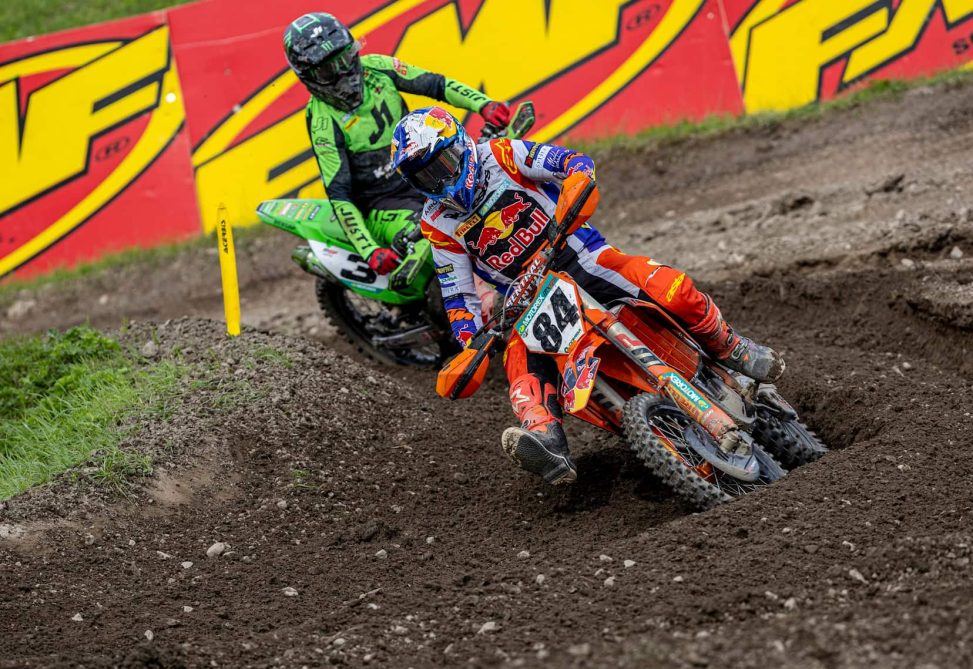 herlings