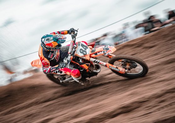 herlings