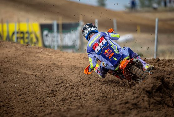 herlings