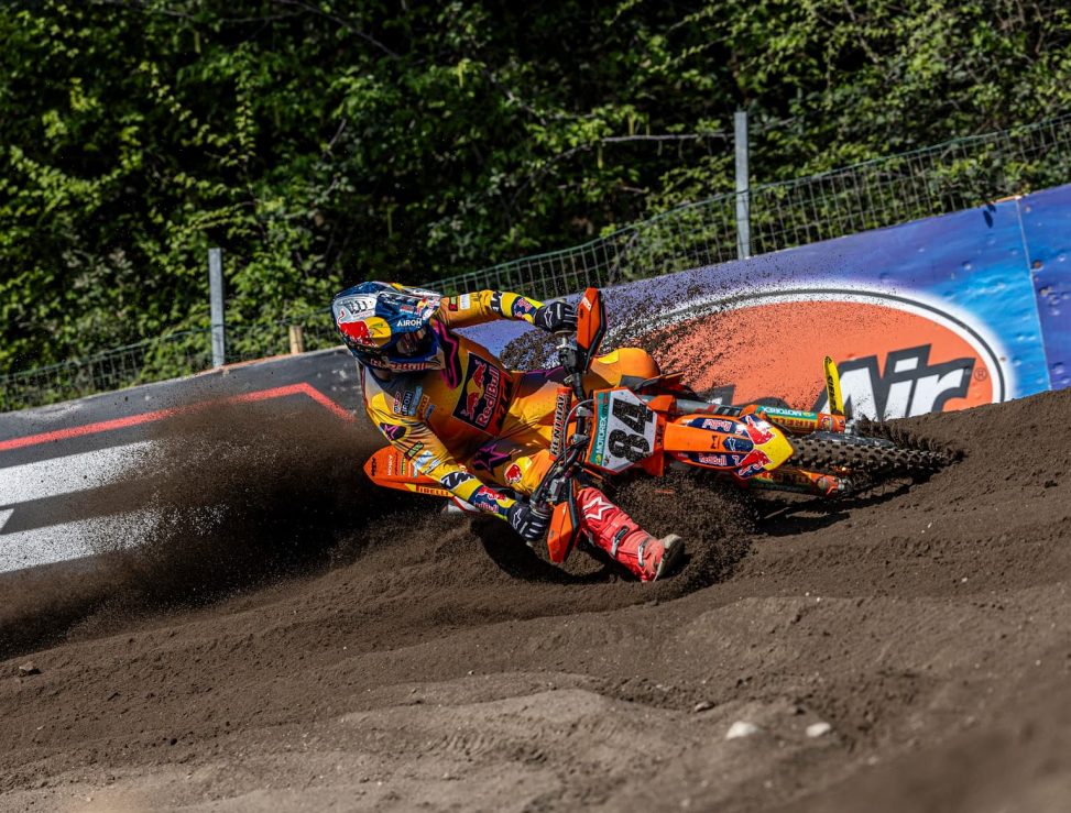 herlings