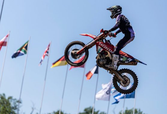 herlings