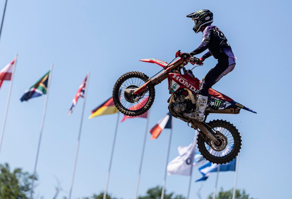 herlings