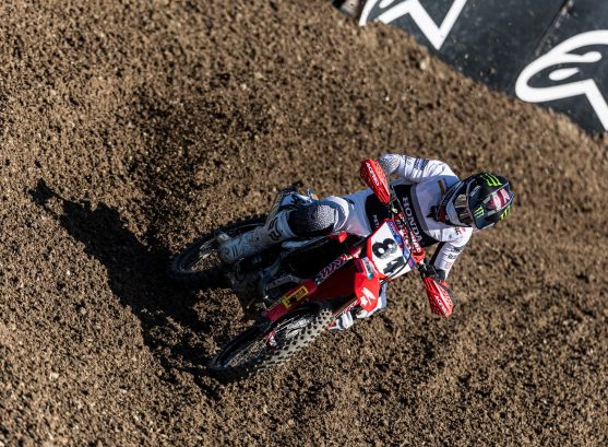 herlings