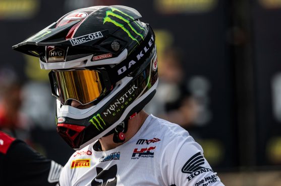 herlings
