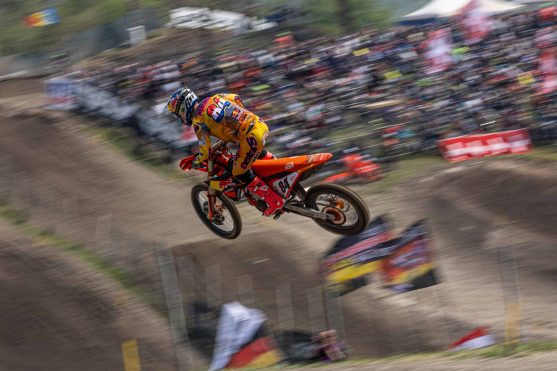 herlings trentino 25