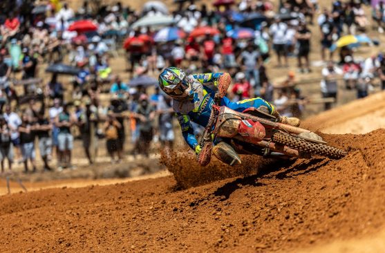 herlings_POR_2026