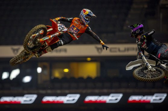 musquin king2