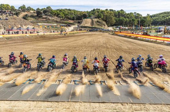 mx