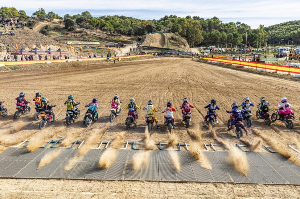 mx