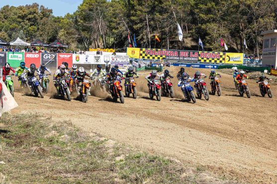 mx1salida