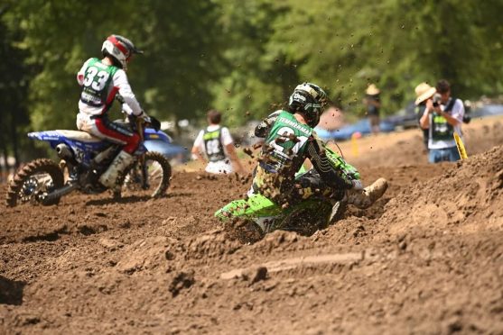 temmerman open pro llmx