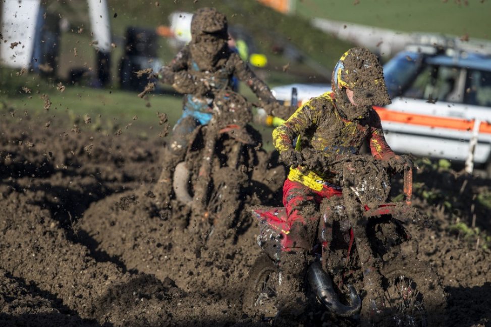 CREATOR: gd-jpeg v1.0 (using IJG JPEG v62), quality = 82