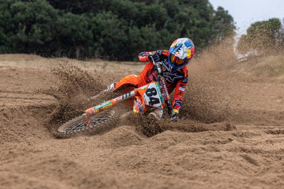 20230209-Herlings (3)