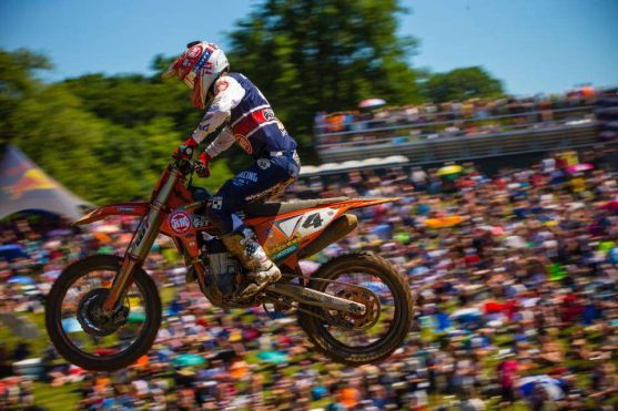 37411857_1783188965090110_1797866601366683648_n