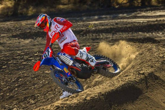 Bloss-beta-24_edited