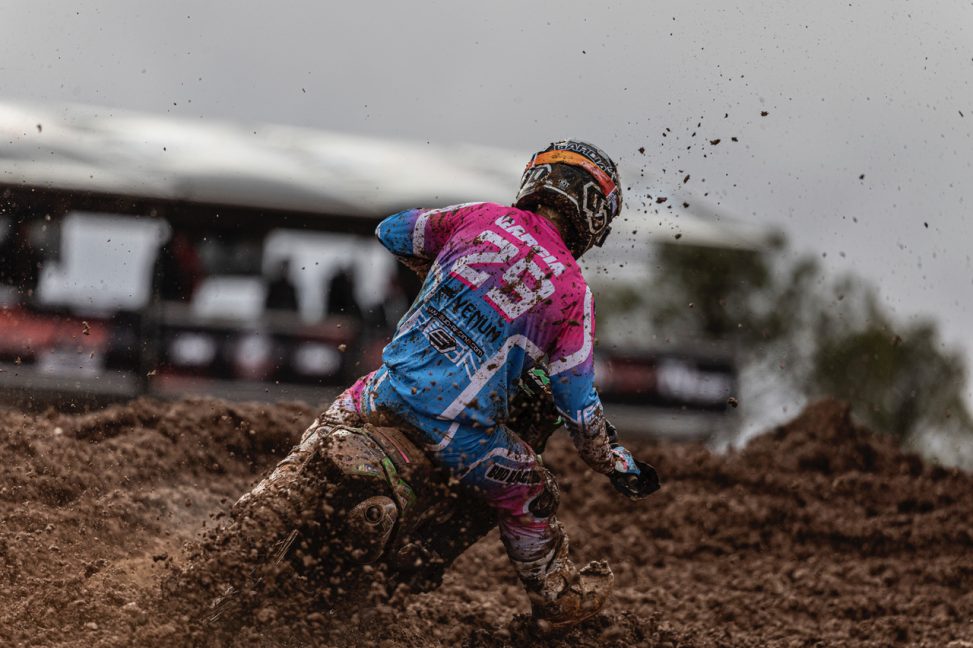 CArbonero_96A8441 copia