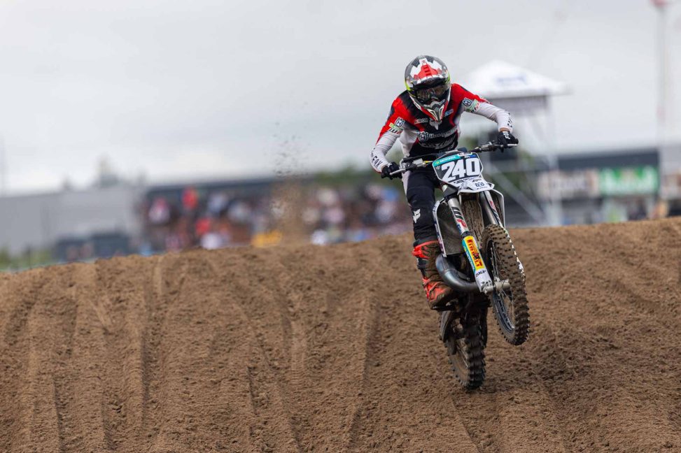 Cesar Paine Lommel 25