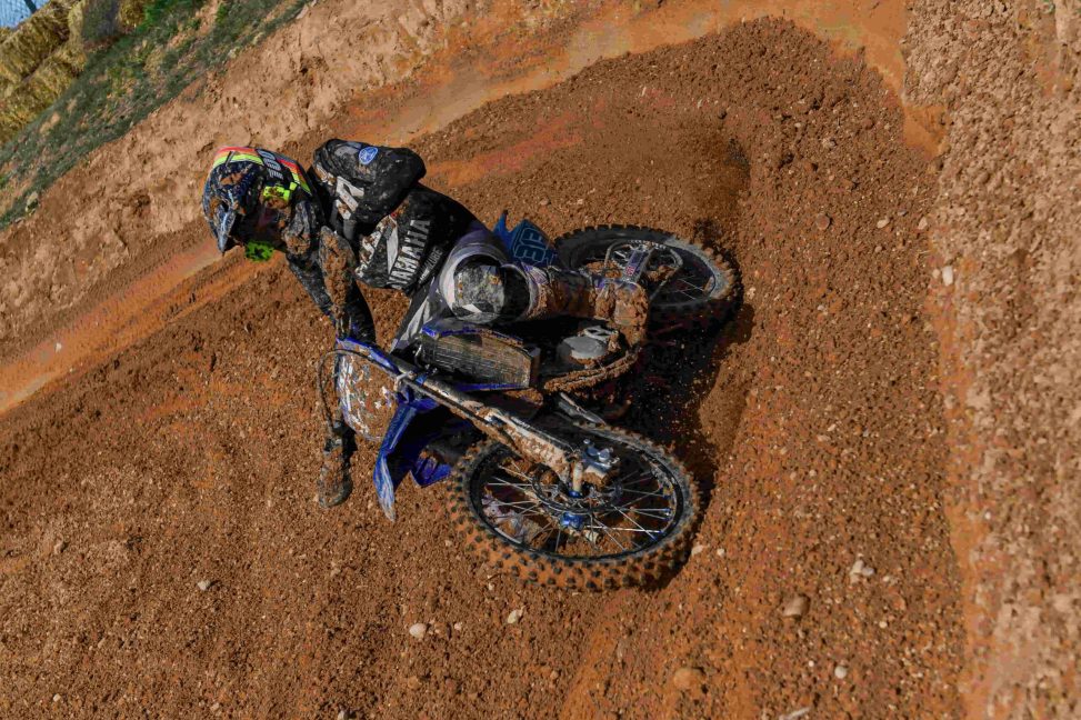 ESTEVE ABELLA 313-2-1