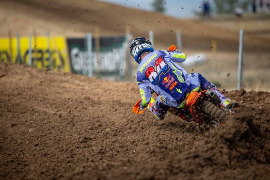 Herlings Turkey 25