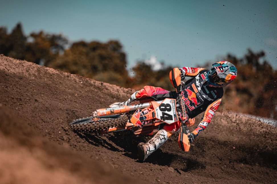 Herlings lombok 24