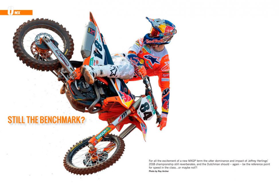 Herlings