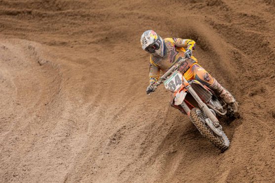 Herlings riola 25 2