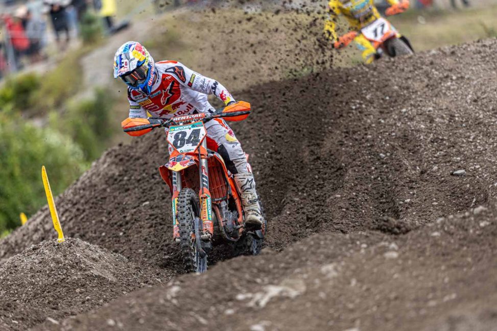 Herlings sweden 24