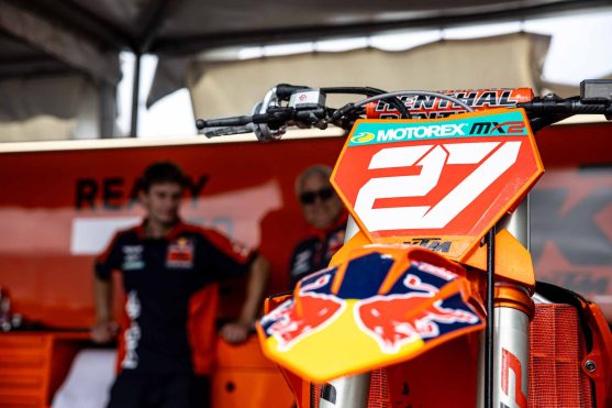 Langenfelder Turkey 25 3