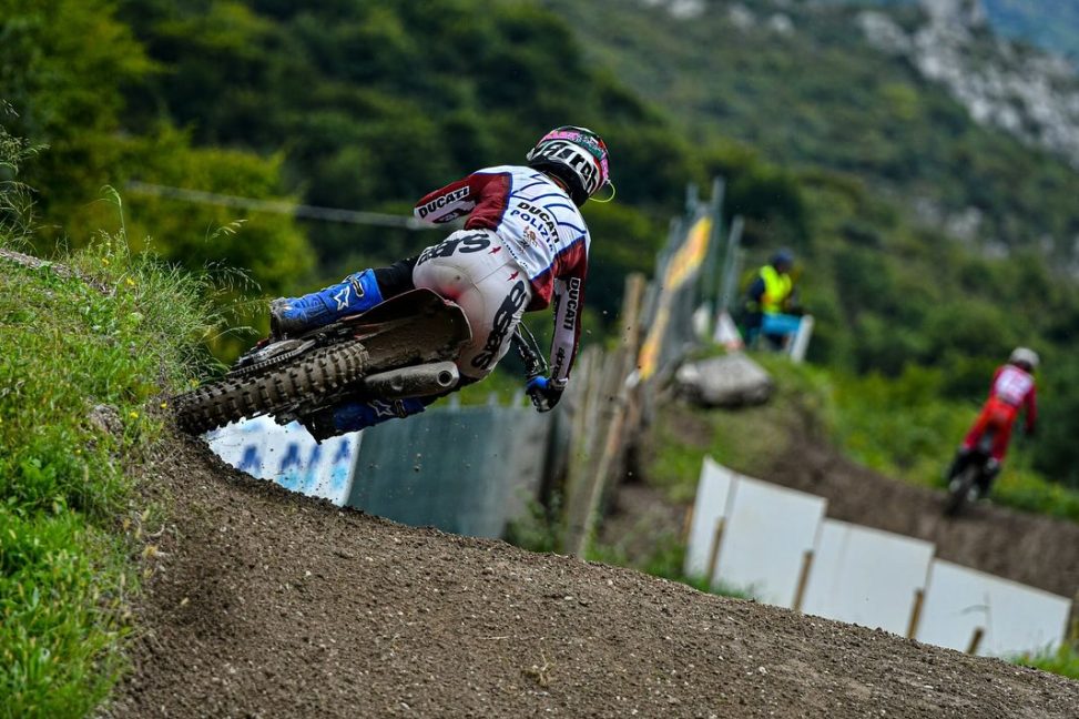 Lupino Ducati Desmo 250 25