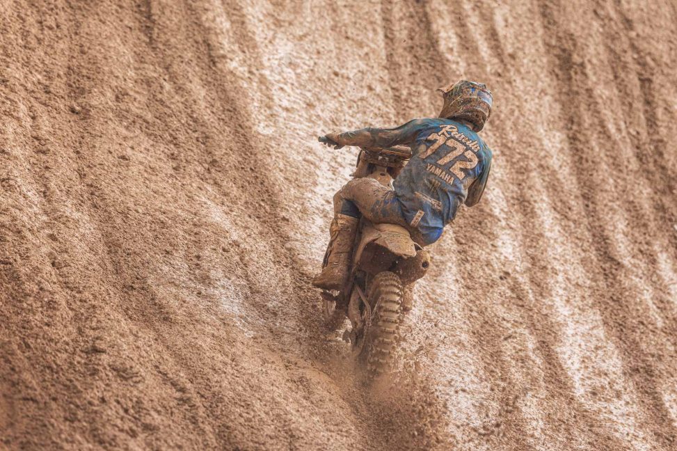 Reisulis Portugal 25