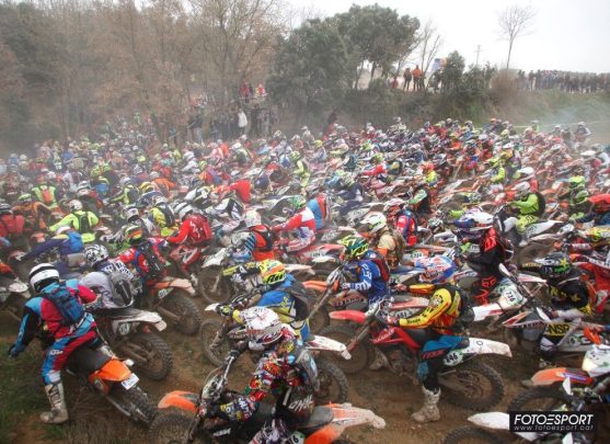 article-bassella-race1-2017-58a19a7771a6f