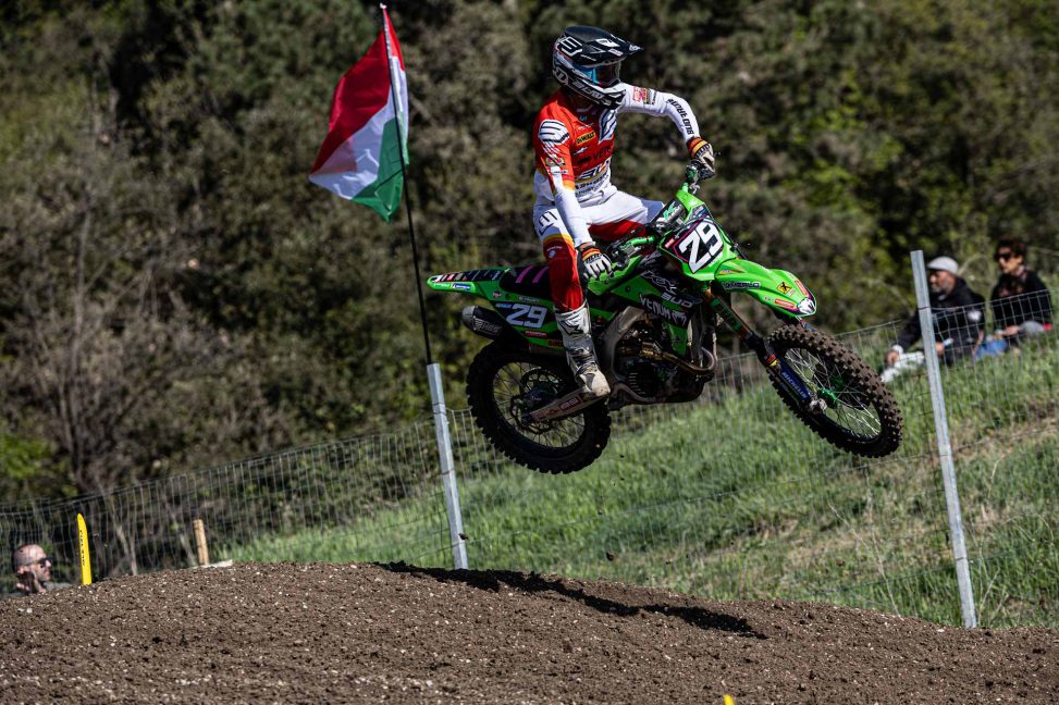 carbonero trentino 25