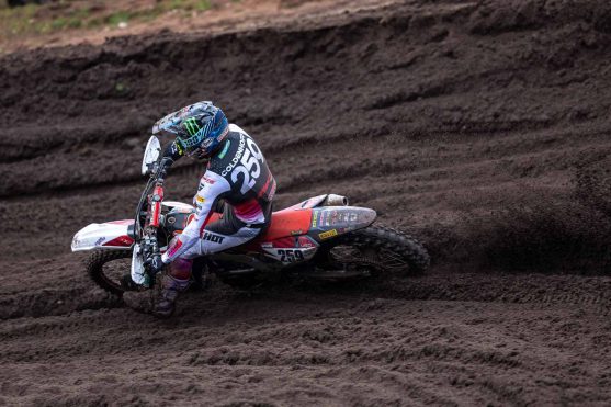 coldenhoff hawkstone 2