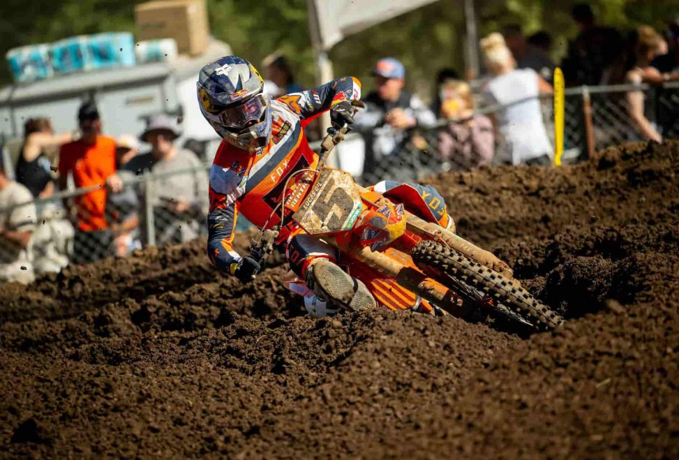 dungey