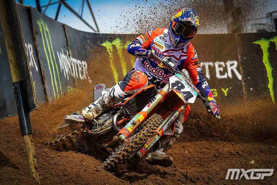 herlings