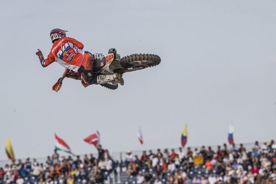 herlings
