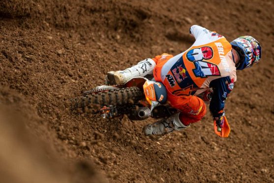 herlings