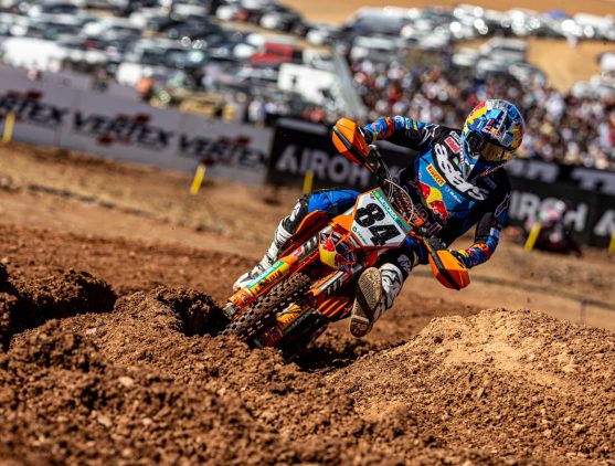 herlings