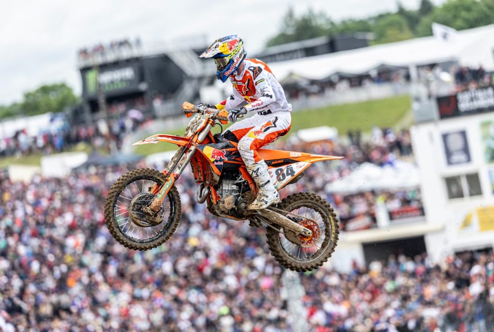 herlings