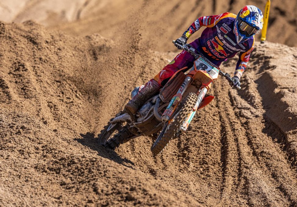 herlings