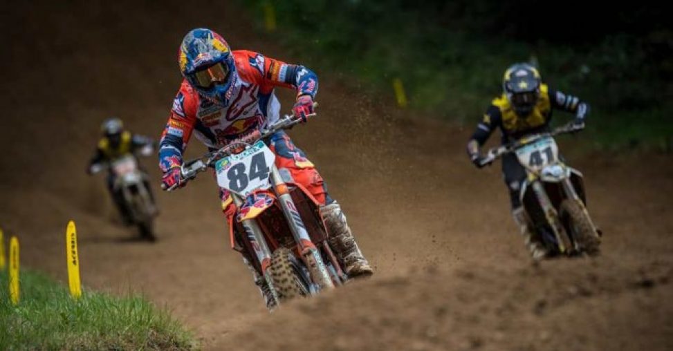 herlings