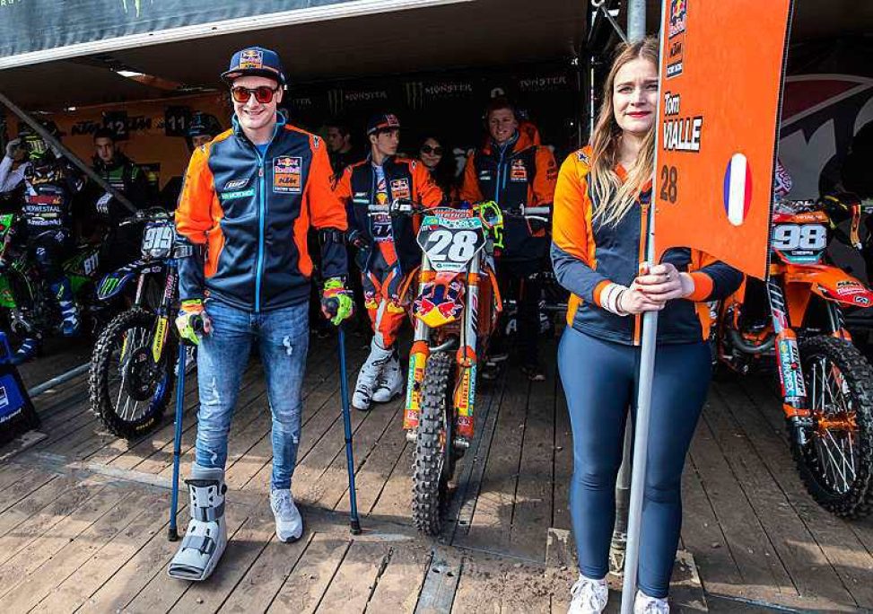 herlings