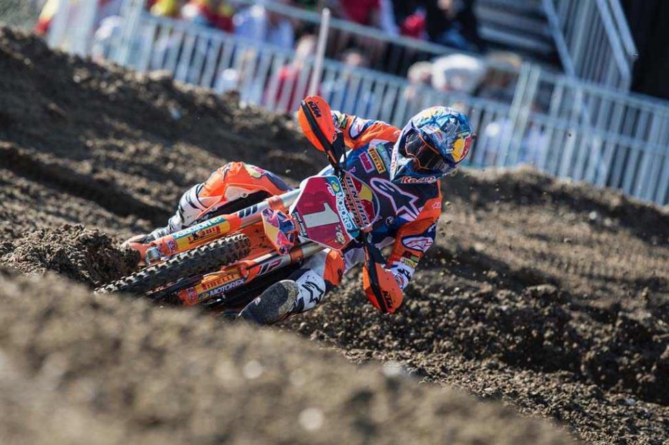 herlings