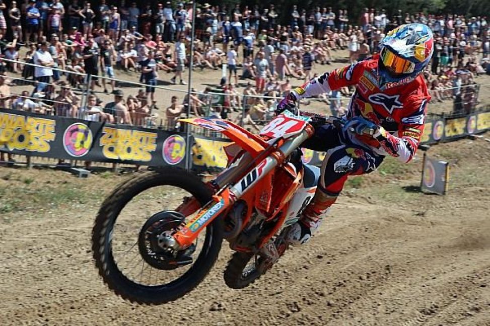 herlings