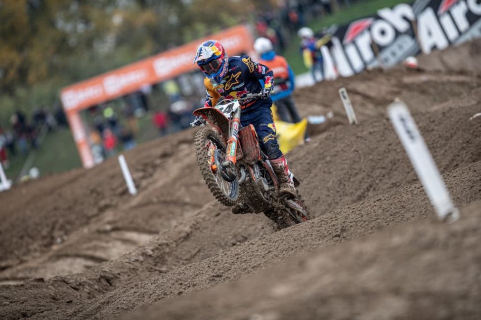 herlings