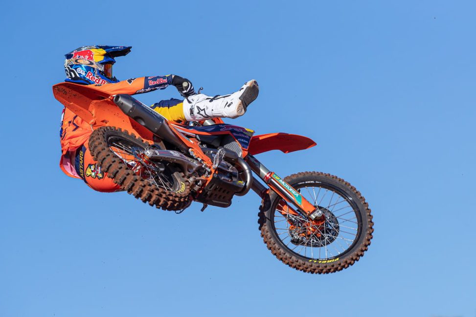 herlings-3