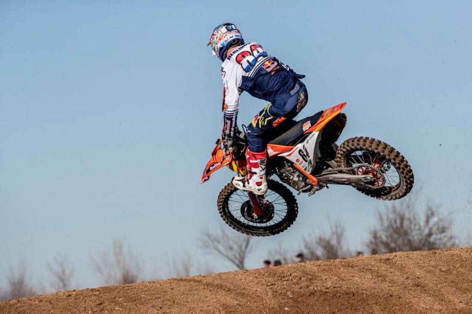 herlings-4